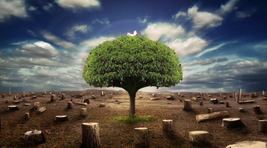 Eco-environment monitoring and inspection.png